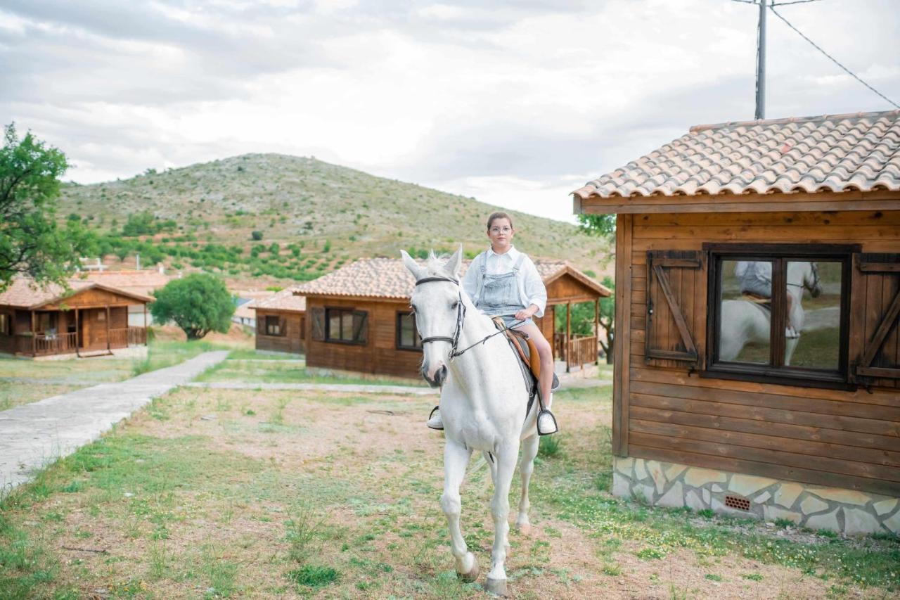 Aldea Los Odres - Cabañas de Madera de 1ª recién Reformadas con Piscina y BBQ Privada Moratalla  Extérieur photo