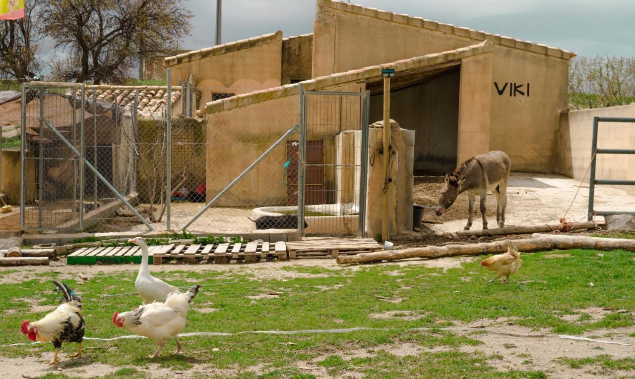 Aldea Los Odres - Cabañas de Madera de 1ª recién Reformadas con Piscina y BBQ Privada Moratalla  Extérieur photo